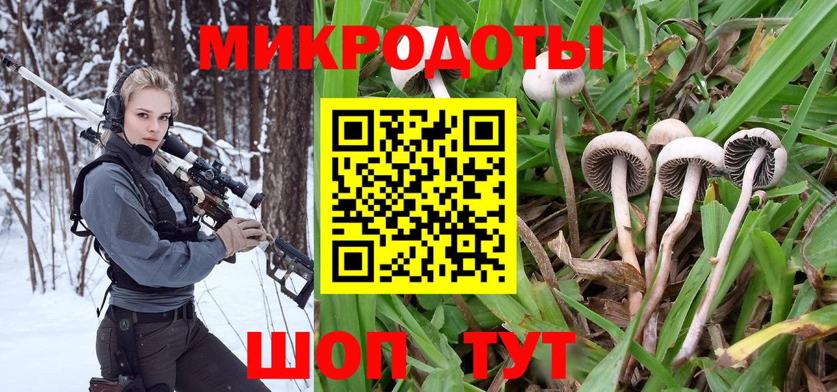 Псилоцибиновые грибы Psilocybine cubensis Сызрань